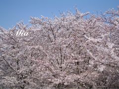 -龙美术馆(西岸馆)