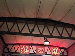 -武汉知音号