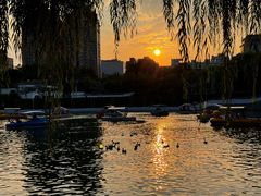-团结湖公园