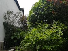 -羊楼洞