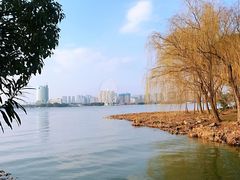 -长广溪湿地公园