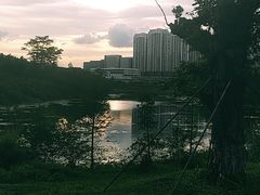 -聚龙山公园