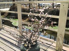 -Local泰莲庭(虹鳟鱼店)