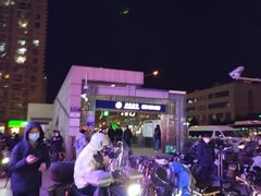 -宋家庄(地铁站)