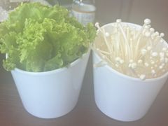 -东海怡品海鲜豆捞(舟宿夜江店)