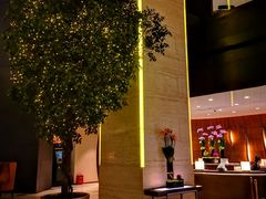 -上海龙之梦万丽酒店