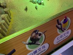 -萌宠奇缘