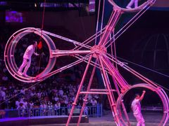 -俄罗斯国家大马戏团