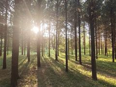 -北坞公园