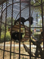 -萌宠亲子动物乐园(槐房万达店)