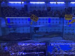 -日照大牌檔•小船海鲜(万平口店)