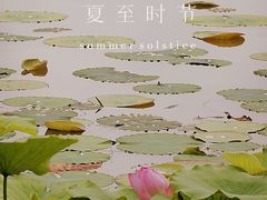 -南翔镇银翔湖公园