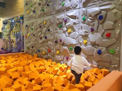 -泡泡米POPOME益智乐园(洪殿花园旗舰店)