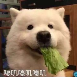 -新蝶变皮肤管理中心