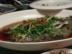 -老广酒楼(樱花店)