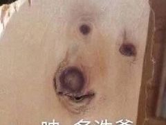 -苏州金鸡湖文博诺富特酒店