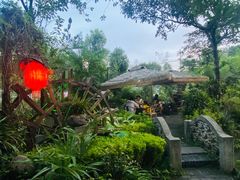 -青城甲(青城山店)