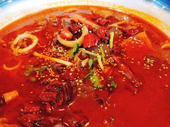 毛血旺-蜀腾川·火锅鱼.烤鱼(新世界城店)