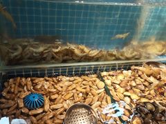 -星伦多自助料理·涮烤一体(嘉兴八佰伴店)