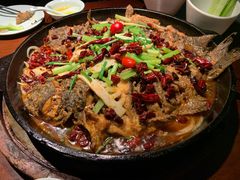 -老板恋上鱼(高新万达店)