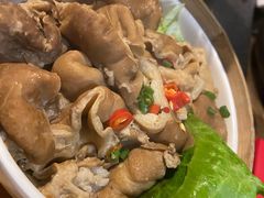 现卤肥肠-渝涯重庆豆花老火锅(中赢国际店)