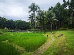 -四季酒店下午茶