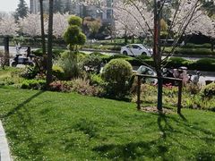 -浦江城市生活广场(江月路店)