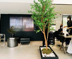 -付军剪艺JF ProSalon
