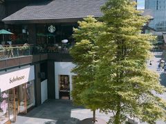 -星巴克(成都太古里二店)