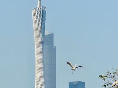 -海珠湖公园