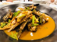 -饭怕鱼(阳光100店)