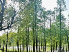 -牛岗山公园