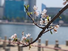 -西北湖绿化广场