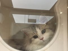 -萌兽医馆·眼科·异宠专科(三里屯店)