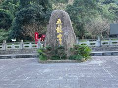 -宁波五龙潭景区