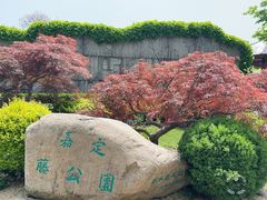 -嘉定紫藤园