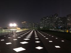 -南京眼步行桥