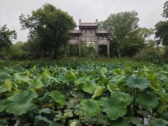 -西溪国家湿地公园