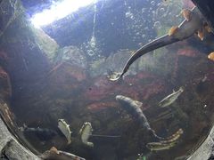 -珠海长隆海洋王国