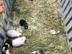 -龟与熊猫宠物公园(南坪店)