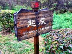 -三块石国家森林公园