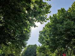 -东华大学(松江校区)