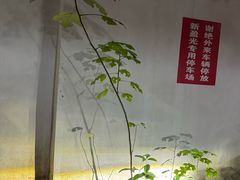 -新盈光·旗舰店(海曙苍松路店)