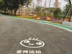 -王借岗森林公园