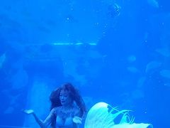 -太平洋海底世界