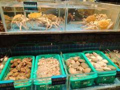 -青蓬蒸汽海鲜·深圳老字号·团建聚会(壹方城店)