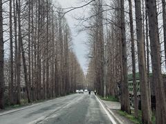 -谈灵农家柴爿菜饭