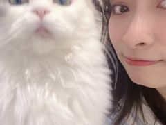 -怪兽屋·羊驼·猫咖·狗咖(俊华广场店)