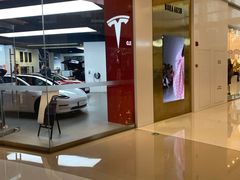 -TESLA 特斯拉(郑州正弘城体验店)