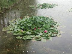 -绿堤公园